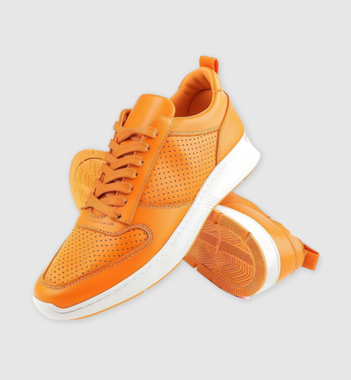 Urban Lift Platform Canvas Sneakers