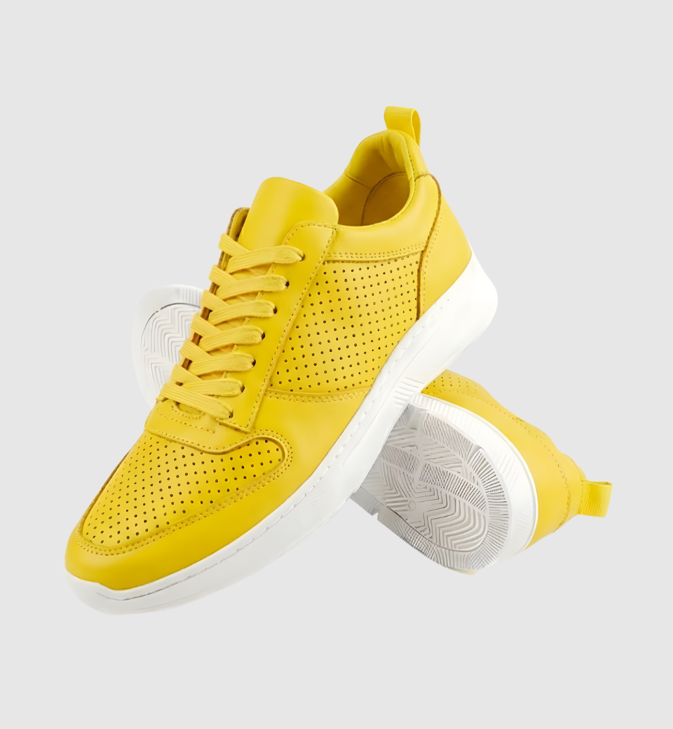 Urban Lift Platform Canvas Sneakers